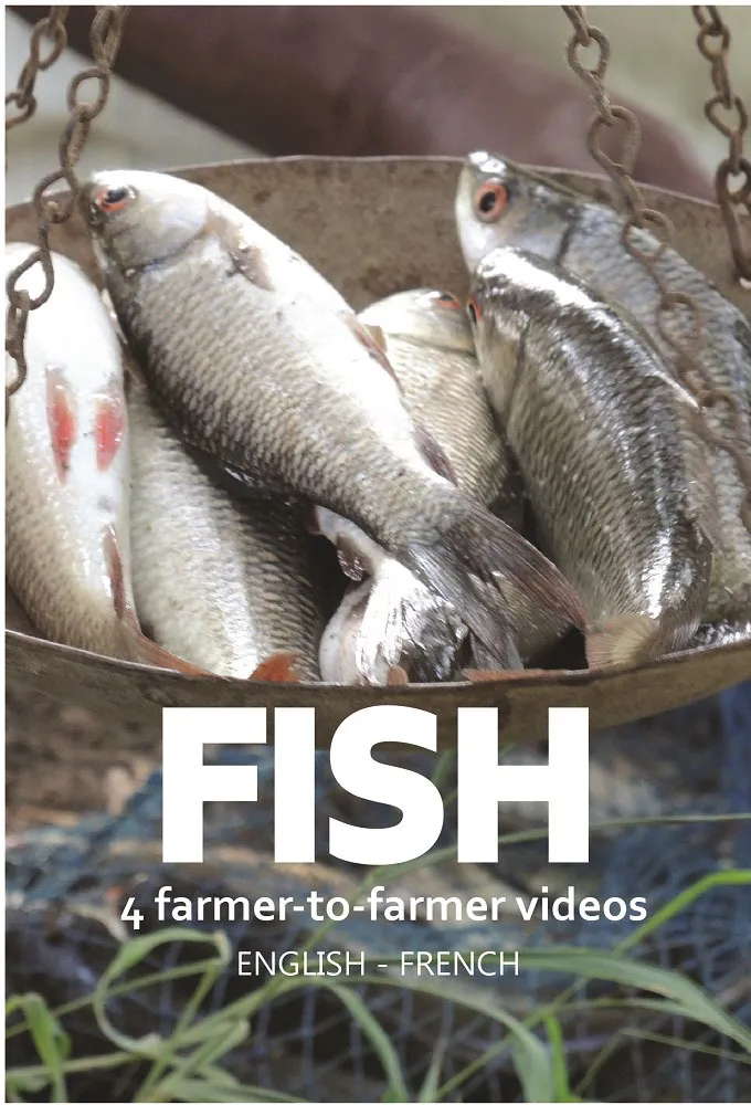 Fish videos
