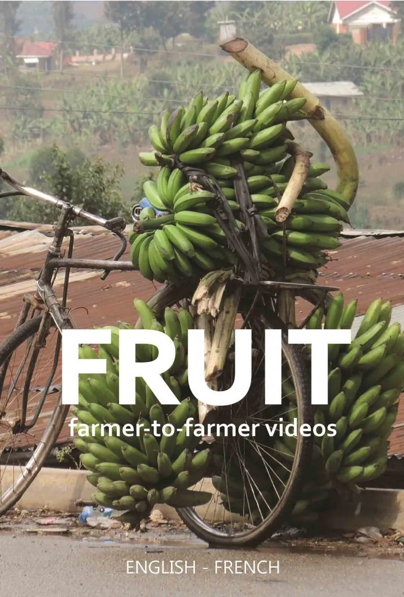 Fruit video modules