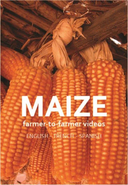 Maize videos