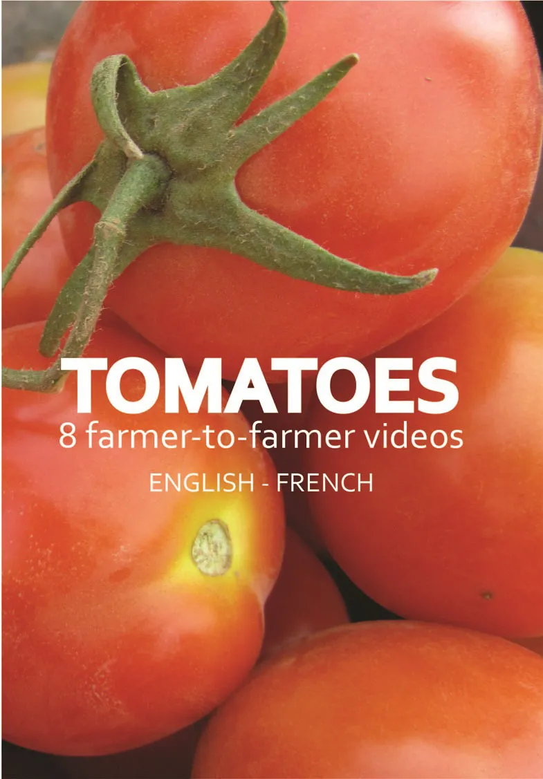 Tomato production videos