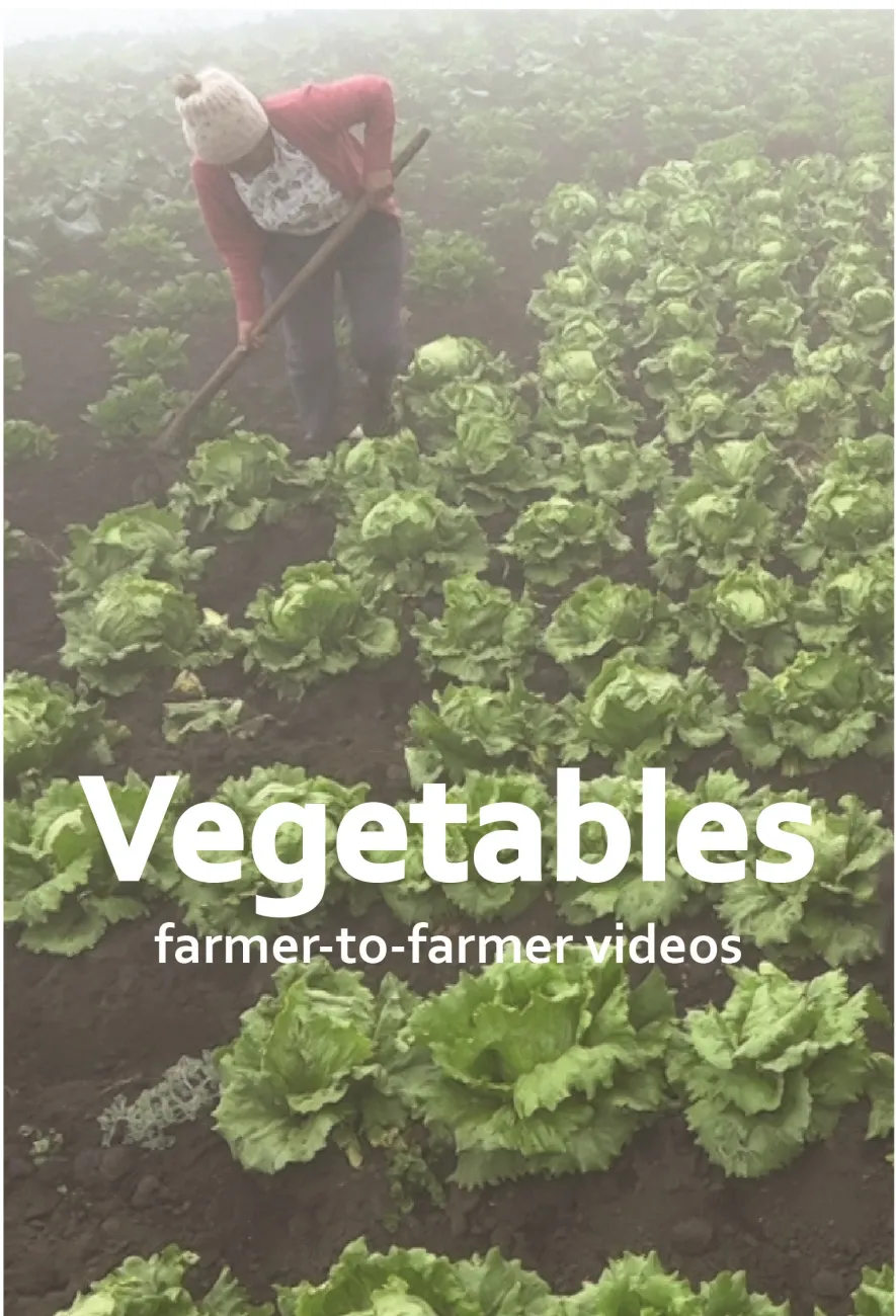 Vegetable videos